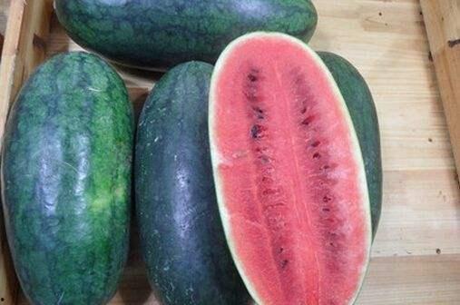 山东两位网红吃瓜视频大全,揭秘热门事件幕后真相